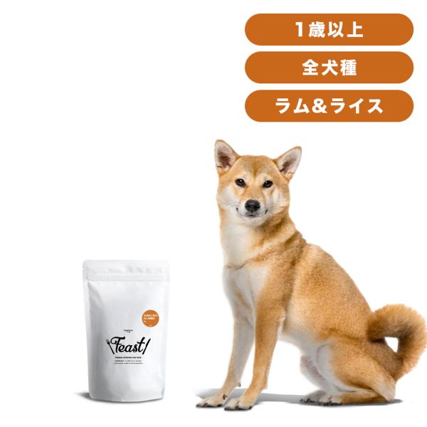 INUMESHI　フィースト　ラム&amp;ライス　1歳以上　全犬種用　1kg