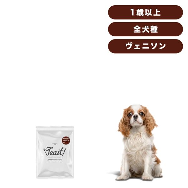 INUMESHI　フィースト　プレミアム　ヴェニソン　成犬用　全犬種用　1歳以上　200g　おためし...