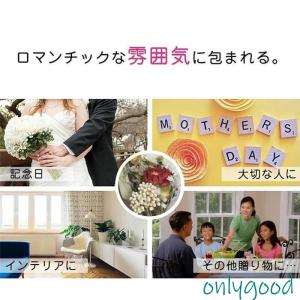 スーパー 手提げ袋付き ドライフラワー 花瓶付...の詳細画像4