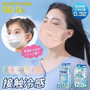 正規品】【送料無料】PYR FILING PLUS パイラ ファイリング プラス 45