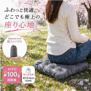 レジャーシート アウトドア クッション エアー ...の商品画像