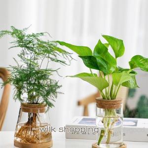 フラワーベース 水栽培 ガラスベース 容器 花...の詳細画像2