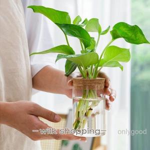 フラワーベース 水栽培 ガラスベース 容器 花...の詳細画像3