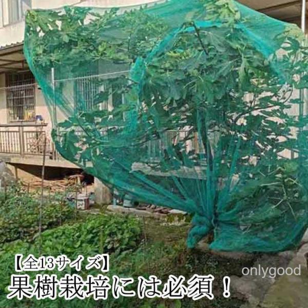 農作物 鳥よけ ヒヨドリ 菜園 畑 防鳥網 果樹 防鳥ネット ベランダ鳥よけネット 鳩 果樹園 防鳥...
