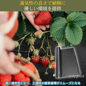 防草シート 雑草対策 厚手 1mx50m 防草...の詳細画像4