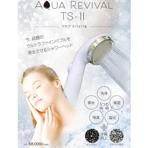 シャワーヘッド アクアリバイバルTS-… アクアリバイバルTS-II シャワーヘッド 田中金属製作所
