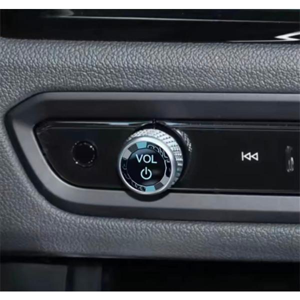 デザイン性UP♪ 交換式♪ クリスタル ボリューム スイッチ BMW i4 G26 eDrive40...