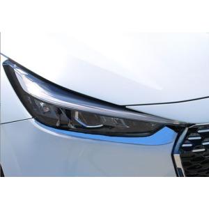 鏡面仕上げ♪ メッキ ヘッドランプ ヘッドライト ガーニッシュ