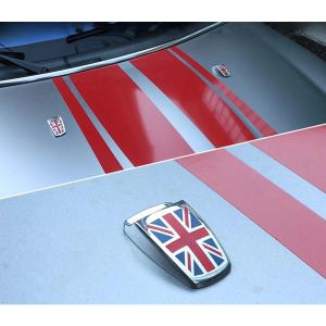 デザイン性UP♪ BMW MINI インテリア ドアパネル カバー チェッカー