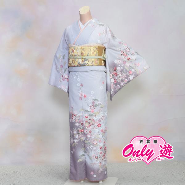 D21-0198K【訪問着セット】/レディース/30-018MR/35-017BN/Lサイズ//結婚...