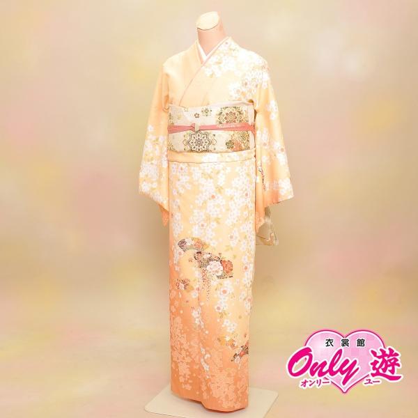 D21-0198K【訪問着セット】レディース/H・L/30-020MR/35-425BN/Lサイズ/...