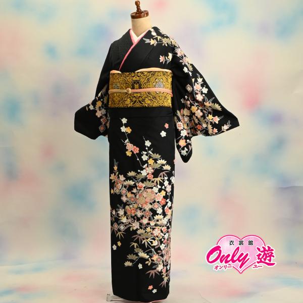 D21-0198K【訪問着セット】レディース/H・L/30-021MR/35-426BN/Lサイズ/...