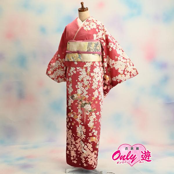 D21-0198K【訪問着セット】レディース/H・L/30-022MR/35-011BN/Lサイズ/...