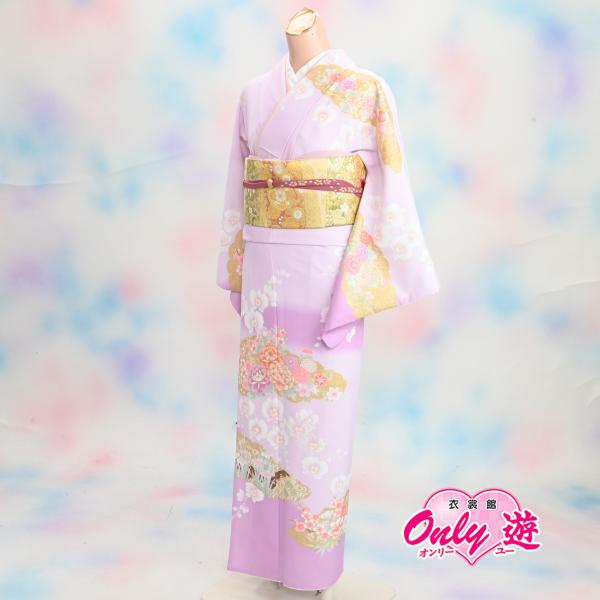 D24-0250K【訪問着セット】/レディース/30-039BN/35-448BN/Lサイズ/結婚式...