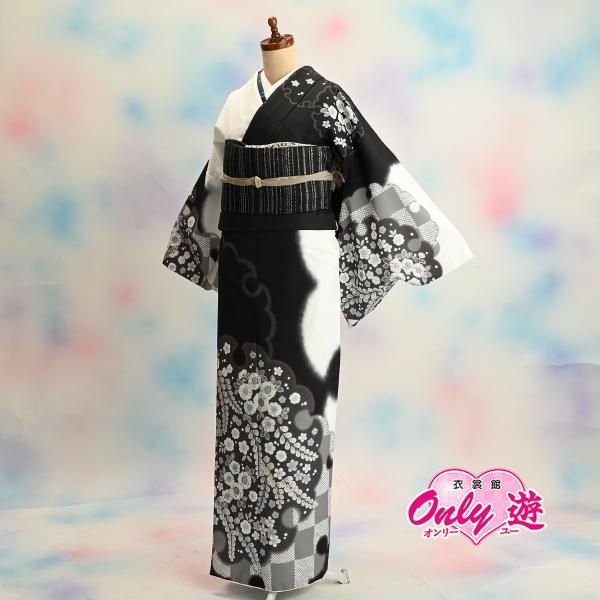 【新品袋帯】D【訪問着セット】/レディース/30-050BN/24-030KZ/Lサイズ/結婚式/入...