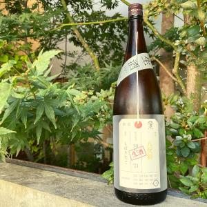 2025年10月】勝駒 本仕込 特別本醸造 1800ml : 酒のとんだ - 通販