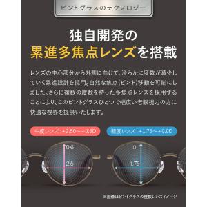 【特別取り扱い品】送料無料 ピントグラス PI...の詳細画像3