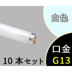 最高 Ever Flr40swm36 B サゴタケモ