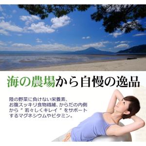 アオサ あおさのり 15g×1袋 九州産 乾燥...の詳細画像5
