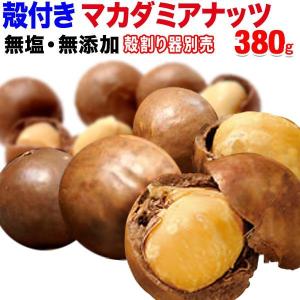 ナッツ マカダミアナッツ 380g×1袋 ロースト 殻付き 製菓材料 マカデミアナッツ ナッツ メール便限定 送料無料