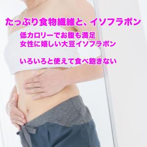 おから パウダー 国産 粗めの粉末 500g×...の詳細画像4