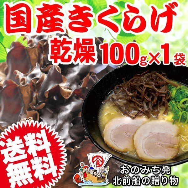 きくらげ 国産 キクラゲ 乾燥きくらげ 100g×1袋 大分県産 木耳 送料無料