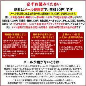 生姜 しょうが パウダー 国産 ショウガ 無添...の詳細画像1