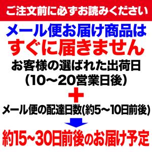 生姜 しょうが パウダー 国産 ショウガ 無添...の詳細画像3