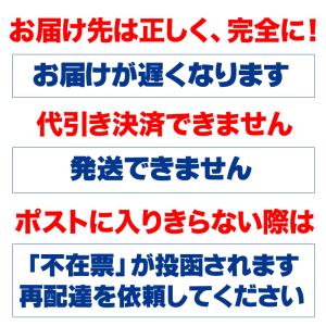 生姜 しょうが パウダー 国産 ショウガ 無添...の詳細画像4