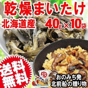 舞茸 まいたけ 乾燥舞茸 国産 40g×10袋 折れや欠け