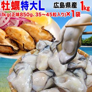 牡蠣 かき 広島県産 広島カキ1kg(正味850g)×1袋 Lサイズ 広島産 鍋 ※送料1300円です｜onomichi-marukin