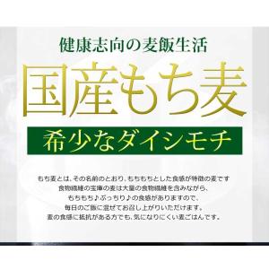 もち麦 国産 グルメセール もちむぎ(ダイシモ...の詳細画像3
