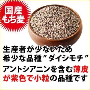 もち麦 国産 グルメセール もちむぎ(ダイシモ...の詳細画像4