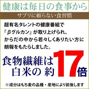 もち麦 国産 グルメセール もちむぎ(ダイシモ...の詳細画像5