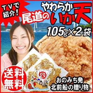 グルメ柔らか いか天 105g×2袋 するめいか 国産/柔かい 広島県産 メール便限定 送料無料