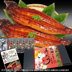 お中元 2026 敬老の日 うなぎ プレゼント...の詳細画像2