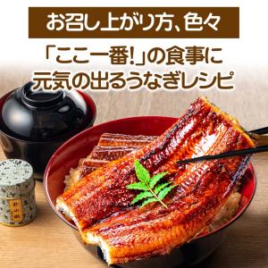 お中元 2026 敬老の日 うなぎ プレゼント...の詳細画像4