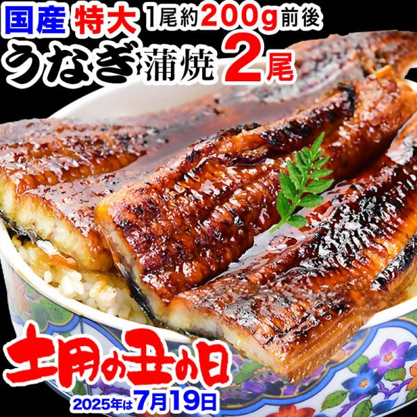 父の日 ギフト 70代 80代 うなぎ 蒲焼き 国産 鰻 2尾 特大(約180〜200g前後×2尾)...