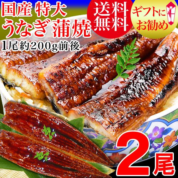 ギフト うなぎ 蒲焼き 国産 鰻 うなぎ蒲焼き 九州産 2尾 特大(約180〜200g前後×2尾)鰻...