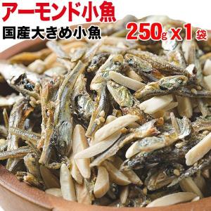 アーモンド アーモンド小魚 250g×1袋 ポイント利用 大きめの国産小魚 おつまみ セール 送料無料 メール便限定｜北前船の贈り物