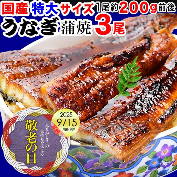 ギフト うなぎ 蒲焼き 国産 鰻 うなぎ蒲焼き 九州産 3尾 特大(約180〜200g前後×3尾)宮...