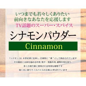 シナモン シナモンパウダー (粉末)300g×...の詳細画像3