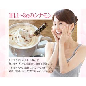 シナモン シナモンパウダー (粉末)300g×...の詳細画像4