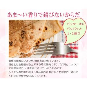 シナモン シナモンパウダー (粉末)300g×...の詳細画像5