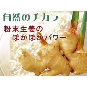 セール 送料無料 生姜 しょうがパウダー ショ...の詳細画像3