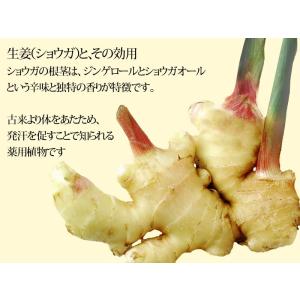 セール 送料無料 生姜 しょうがパウダー ショ...の詳細画像5