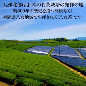 抹茶 スイーツ 爆買 抹茶大豆 八女抹茶使用 ...の詳細画像1