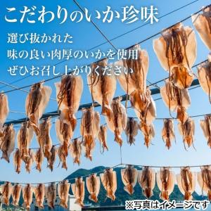 さきいか 業務用 訳あり おつまみ珍味 たっぷ...の詳細画像1