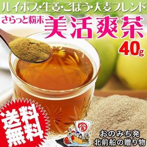 美活爽茶 40g×1袋 ルイボスティー ごぼう茶 焙煎麦 生姜｜onomichi-marukin