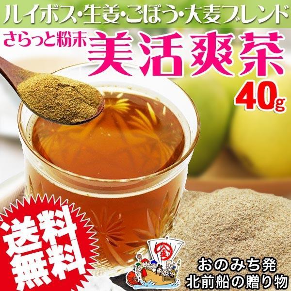 美活爽茶 40g×1袋 ルイボスティー ごぼう茶 焙煎麦 生姜